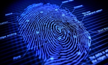LEI DE CRIMES DIGITAIS